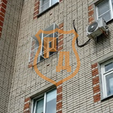 сетка антикошка с белым окрасом